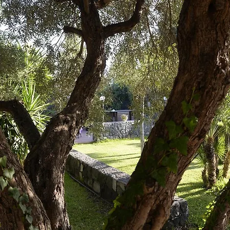 Apartment Borgo Barone